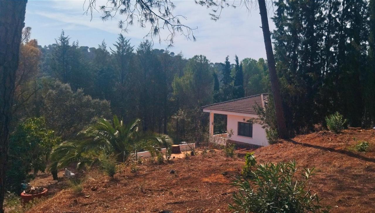 Вилла Bonita Casa Blanca En El Bosque. Кордова Экстерьер фото