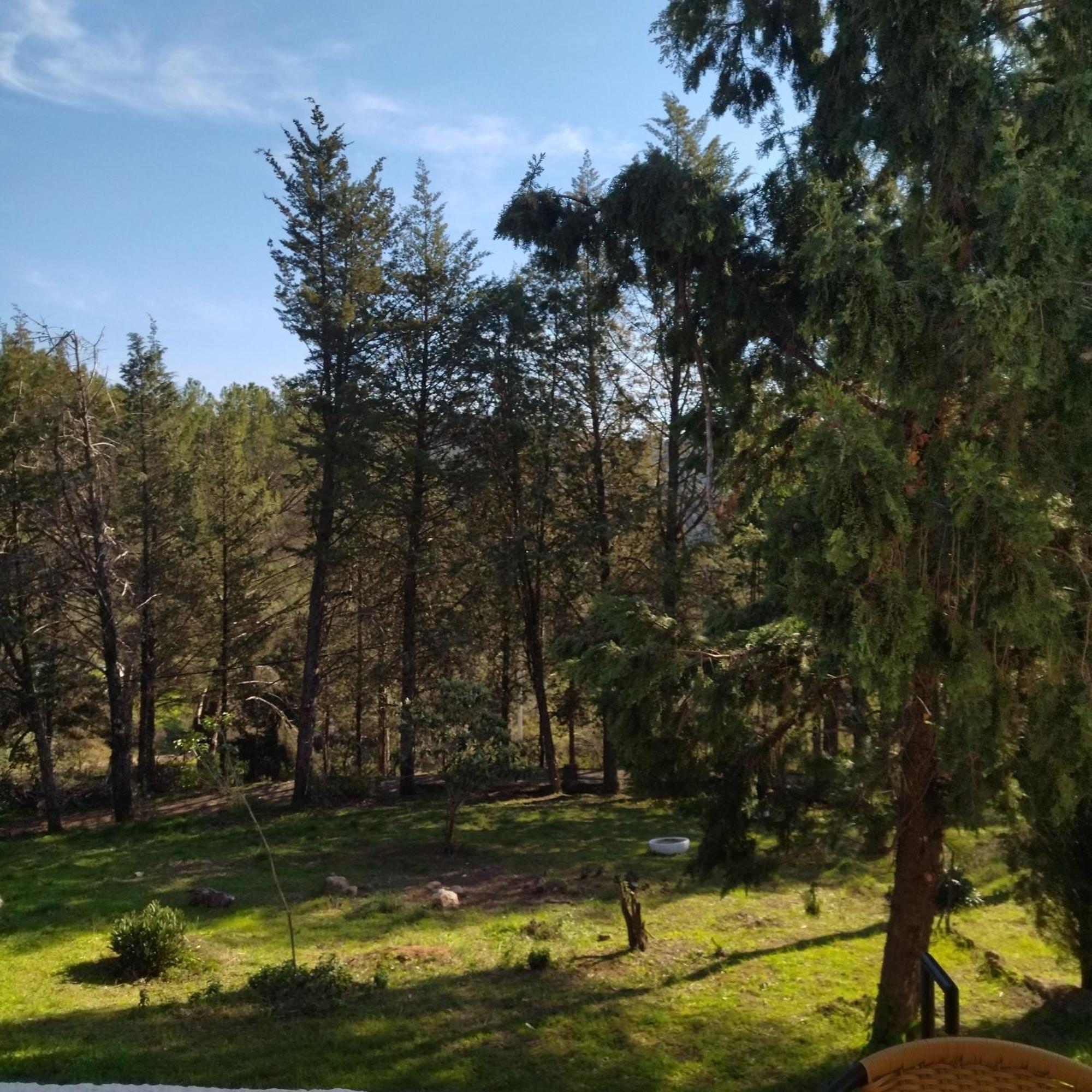 Вилла Bonita Casa Blanca En El Bosque. Кордова Экстерьер фото